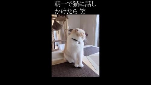 左を向く姿