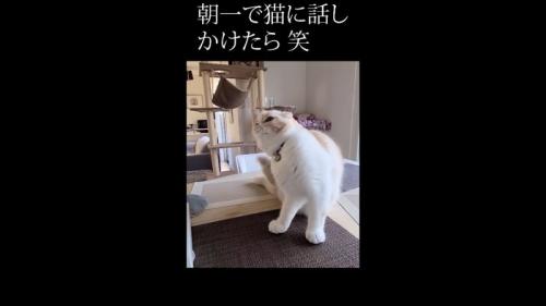 右をカキカキ