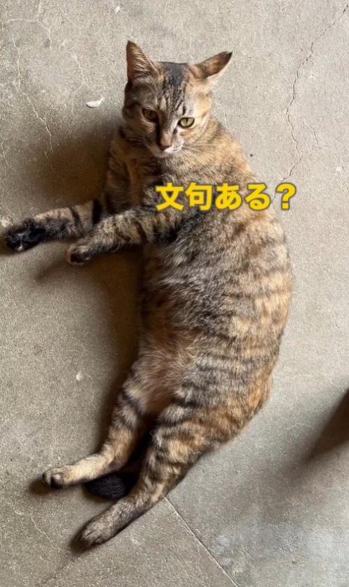ゴロンと寝転ぶ専務ママ