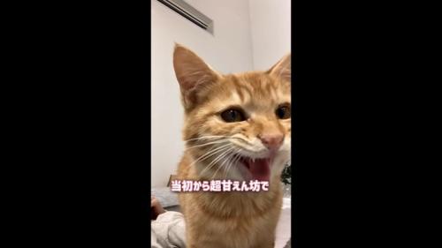 当初から超甘えん坊で