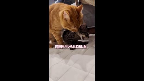 何回もキレられてました