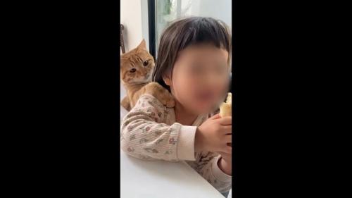 肩に前足をかけて
