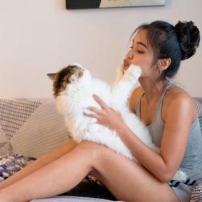 猫が飼い主のことを『嫌っている』サイン5選　避けられてしまう理由や関係改善のコツも