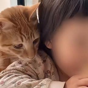 猫たちと『家族になってからの日々』を振り返ったら…幸せあふれる光景に涙が出ると113万再生「幸せすぎて泣けた」「全てが尊いなぁ」