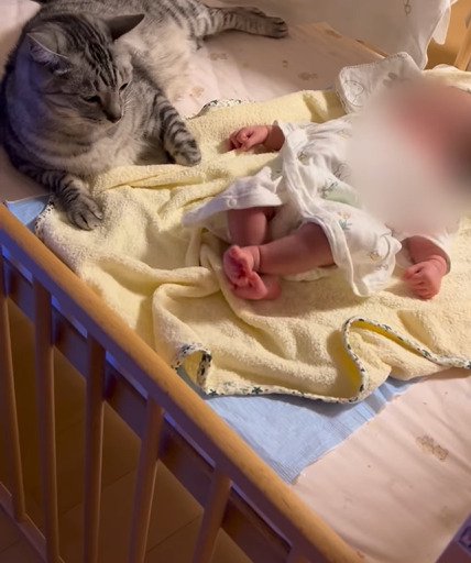 赤ちゃんに寄り添う猫