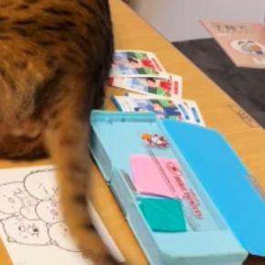 娘が『宿題』をしていると、机の上にやってきた猫…思わず笑ってしまう『ネコハラ』が38万再生「ノールックでｗｗ」「絶対わざとｗ」と話題