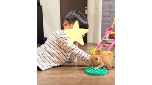 猫と男の子