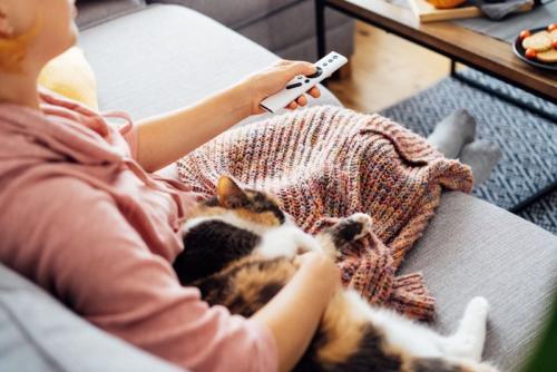 猫を膝に乗せリモコンを持つ人