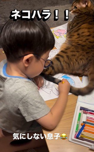 塗り絵をしている子どもと目の前で横になっている猫