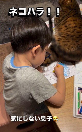 塗り絵をしている子どもと目の前で横になっている猫