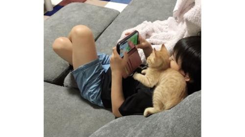 猫と男の子