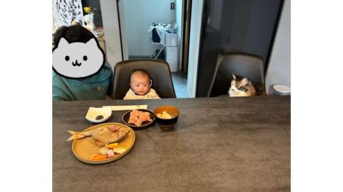 テーブルにいる猫と赤ちゃん