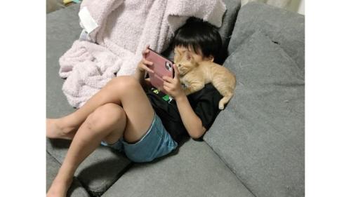 猫と男の子