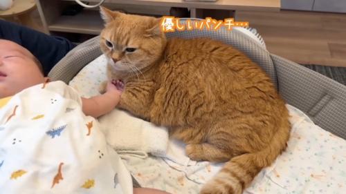 優しいパンチ