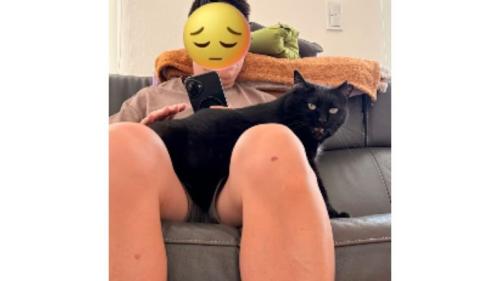 猫と男性
