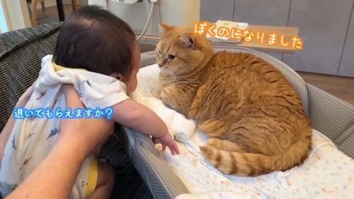 ぼくのになりました