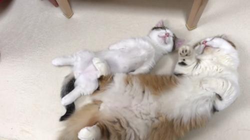 斜めから