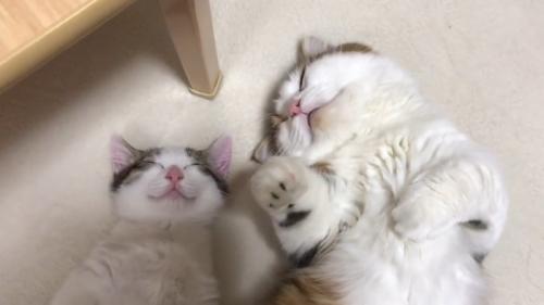 顔のアップ