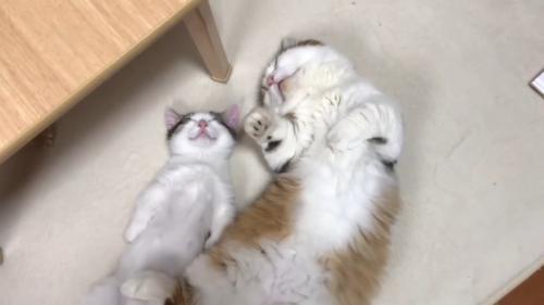 少しアップ