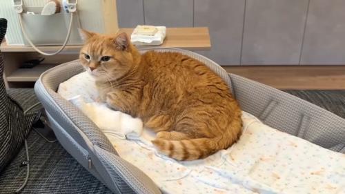 ひとりで寛ぐ姿