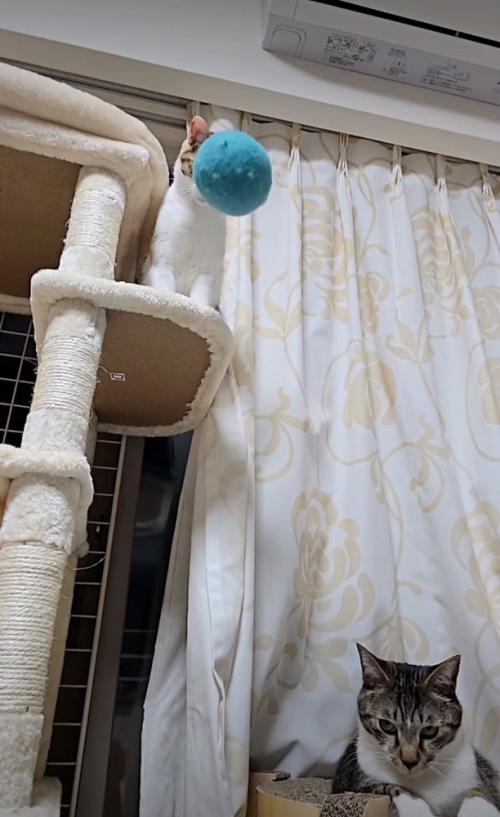 頭に向かっていくボール