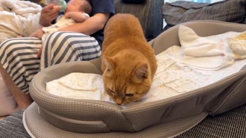 ベッドに侵入