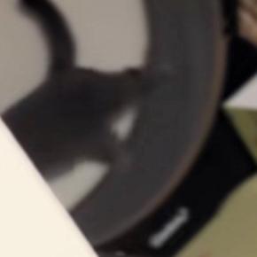 早朝から『キャットホイールを回し始める猫』→見られていることに気づくと…笑ってしまう反応に反響「表情がたまらなく可愛い」「み、みてたな」