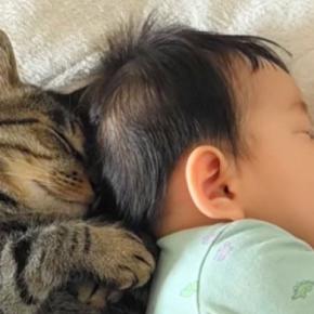 仲良くお昼寝中の『猫と赤ちゃん』→布団をめくってみたら…まさかの『シンクロしている光景』が101万再生「双子かな?」「同じサイズw」