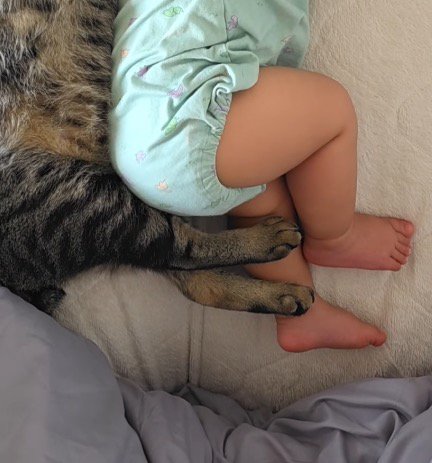 軽く折り曲げられている猫と赤ちゃんの足