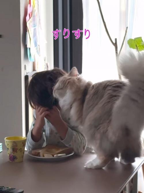 子どもにスリスリする猫