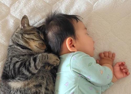 スヤスヤと眠る猫と赤ちゃんの寝顔