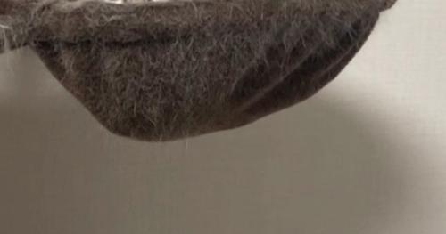 キャットタワーのハンモック