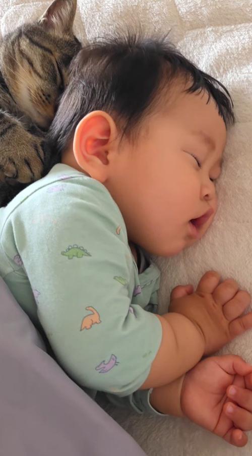 布団に入ってぐっすり眠る赤ちゃん