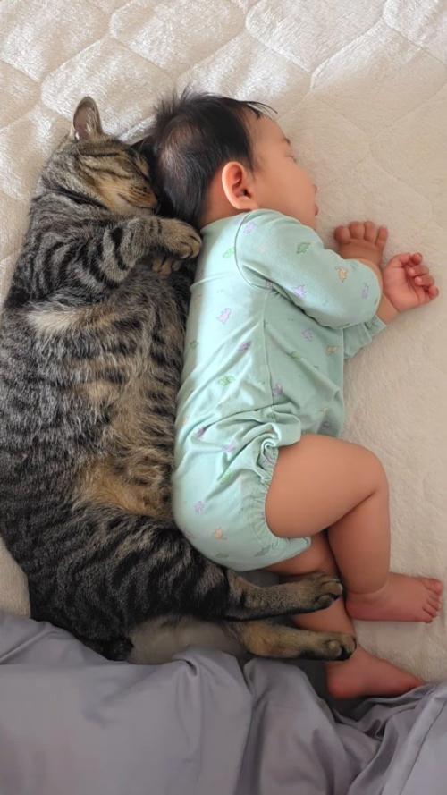 そっくりな寝相をして眠る猫と赤ちゃん