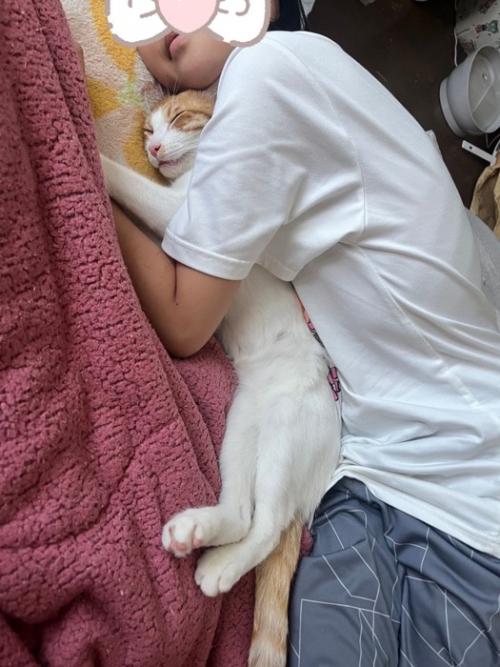 女の子と子猫