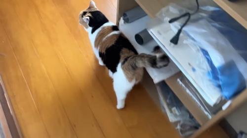 歩いて行く後ろ姿