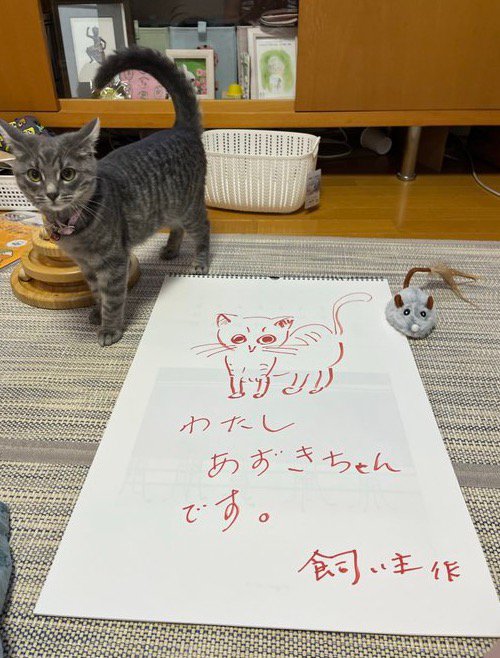 猫の絵が描かれた紙と、紙の隣に立つ子猫