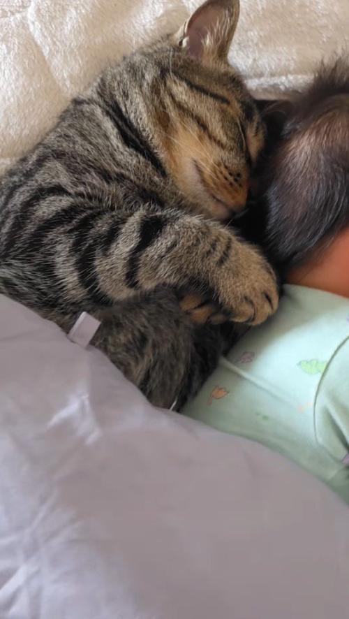 赤ちゃんの背中にくっついて眠る猫