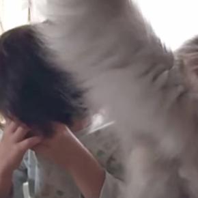 椅子に座って『泣いている息子』に……愛猫が見せた『優しい行動』に胸が熱くなると98万再生「ジーンときた」「きっと分かるんだろうね」