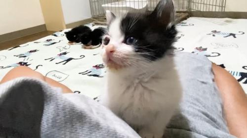 一点を見つめて