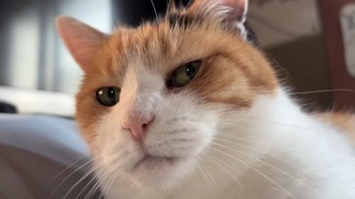顔のドアップ