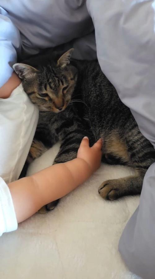 眠っている赤ちゃんのお尻に頭を乗せてくつろいでいる猫