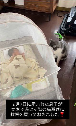 床で寝ている赤ちゃんを見ている猫