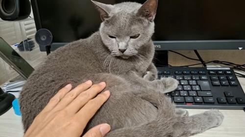 タッチ