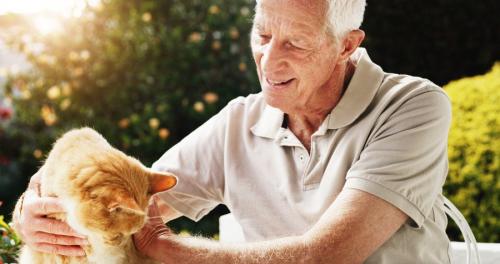 高齢男性と老猫