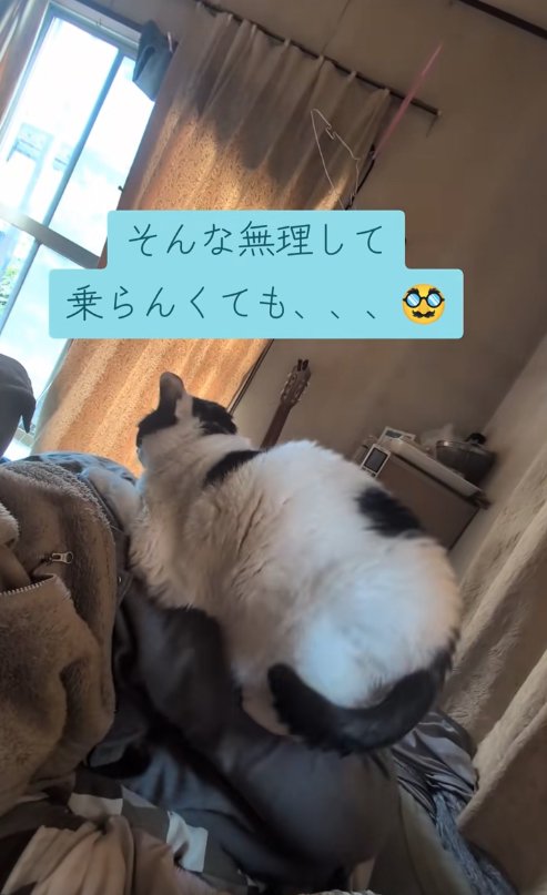 横を向いて寝転がっている飼い主の足の上に乗っている猫