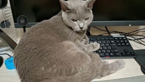 少しうつむいた姿