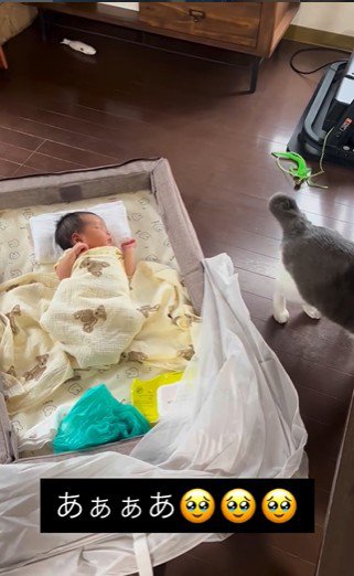 床に寝ている赤ちゃんとその横に立っている猫
