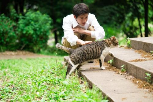 猫を可愛がる男性