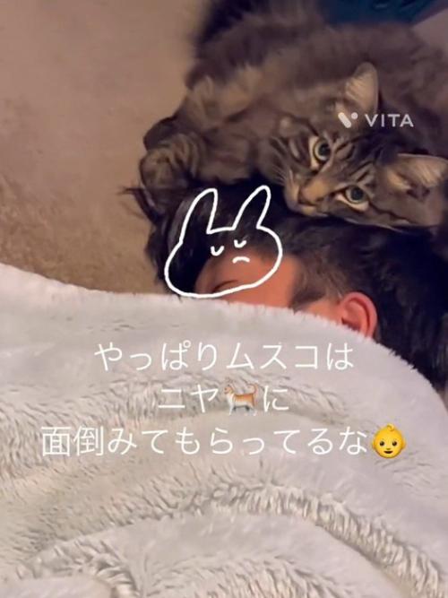 カメラ目線の猫